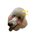 ワンダと愉快な仲間たち①（個別スタンプ：9）