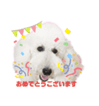ワンダと愉快な仲間たち①（個別スタンプ：17）