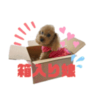 ワンダと愉快な仲間たち①（個別スタンプ：26）