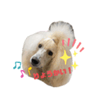 ワンダと愉快な仲間たち①（個別スタンプ：27）