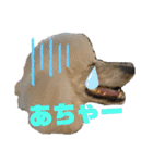 ワンダと愉快な仲間たち①（個別スタンプ：28）