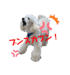 ワンダと愉快な仲間たち①（個別スタンプ：38）