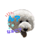 ワンダと愉快な仲間たち①（個別スタンプ：40）