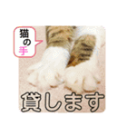 すーちゃんとペス2（個別スタンプ：10）