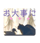 すーちゃんとペス2（個別スタンプ：12）
