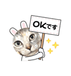 にゃん言葉（個別スタンプ：6）