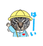 にゃん言葉（個別スタンプ：11）