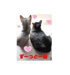 にゃん言葉（個別スタンプ：29）
