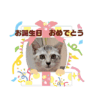 にゃん言葉（個別スタンプ：32）