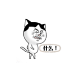 ハチワレ猫の不気味なスタンプ（中国語）（個別スタンプ：8）
