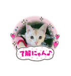 きなこ 〜ちょいとお遊び〜（個別スタンプ：4）