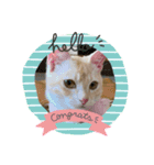 きなこ 〜ちょいとお遊び〜（個別スタンプ：5）
