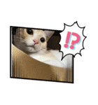 きなこ 〜ちょいとお遊び〜（個別スタンプ：7）