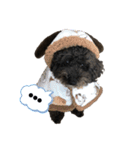 マンディンガ 2（個別スタンプ：3）
