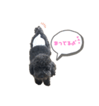 マンディンガ 2（個別スタンプ：8）