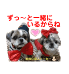 赤いりぼんの可愛い仲間達⑦（個別スタンプ：3）