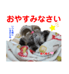 赤いりぼんの可愛い仲間達⑦（個別スタンプ：4）