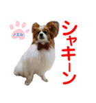 赤いりぼんの可愛い仲間達⑦（個別スタンプ：5）