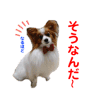 赤いりぼんの可愛い仲間達⑦（個別スタンプ：6）