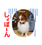 赤いりぼんの可愛い仲間達⑦（個別スタンプ：7）