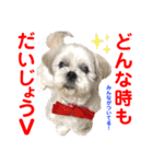 赤いりぼんの可愛い仲間達⑦（個別スタンプ：9）