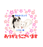 赤いりぼんの可愛い仲間達⑦（個別スタンプ：12）