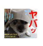 赤いりぼんの可愛い仲間達⑦（個別スタンプ：20）