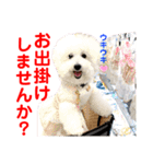 赤いりぼんの可愛い仲間達⑦（個別スタンプ：28）