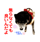 赤いりぼんの可愛い仲間達⑦（個別スタンプ：32）