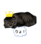 茶太郎えりちんスタンプ（個別スタンプ：3）