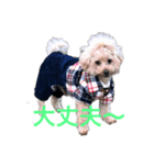 もふもふの2匹❷（個別スタンプ：3）