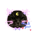 cat.Marquis（個別スタンプ：2）