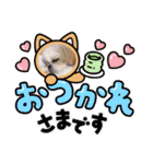 つくしとすみれ2 シーズー（個別スタンプ：2）