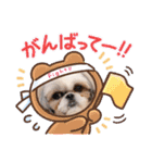 つくしとすみれ3 シーズー（個別スタンプ：10）