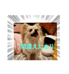 LUNA＆SEA～誤りスタンプ！！（個別スタンプ：1）