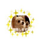 LUNA＆SEA～誤りスタンプ！！（個別スタンプ：2）