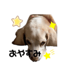 うーぽっちゃん（個別スタンプ：2）