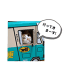 ！chikuwa！（個別スタンプ：5）