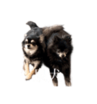 at.ms（個別スタンプ：12）