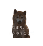 at.ms（個別スタンプ：13）