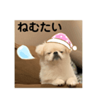 むぎ太郎スタンプ（個別スタンプ：5）