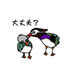 703鳥さん（個別スタンプ：14）