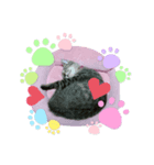 ゆずにゃん5（個別スタンプ：3）