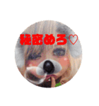 めろスタ○5弾※友達恋人にも使えるめろ*（個別スタンプ：2）