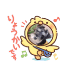 シュナウザーのシュヮちん（個別スタンプ：8）