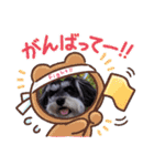 シュナウザーのシュヮちん（個別スタンプ：14）