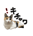 ぐみめるすたんぷ！（個別スタンプ：8）