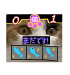 ぐみめるすたんぷ！（個別スタンプ：9）