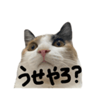ぐみめるすたんぷ！（個別スタンプ：10）