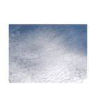 空空空‼️（個別スタンプ：4）